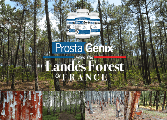 ProstaGenix - from the Landes Forest of France